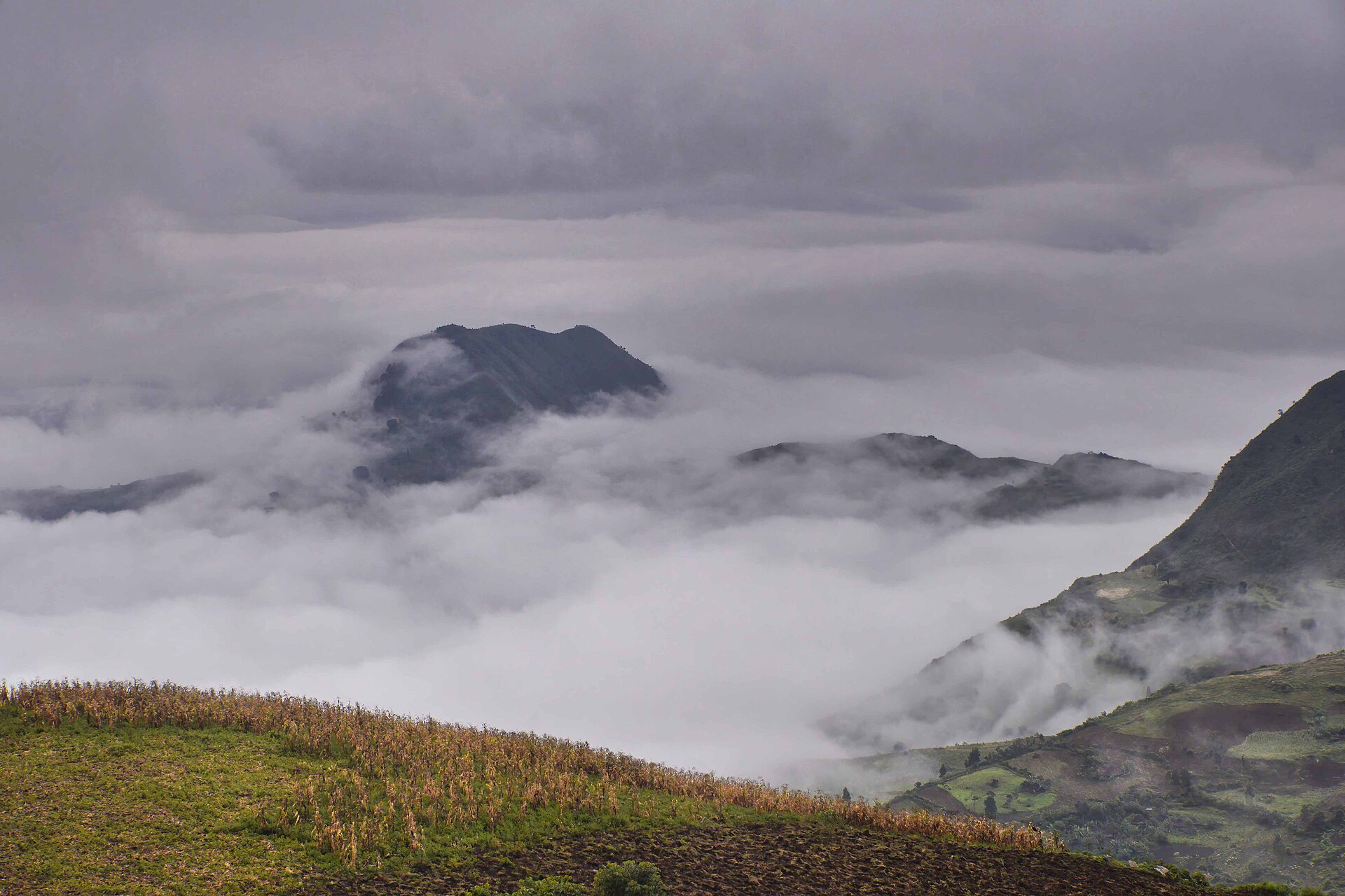 Misty highlands of southern Ethiopia with farmed hillsides