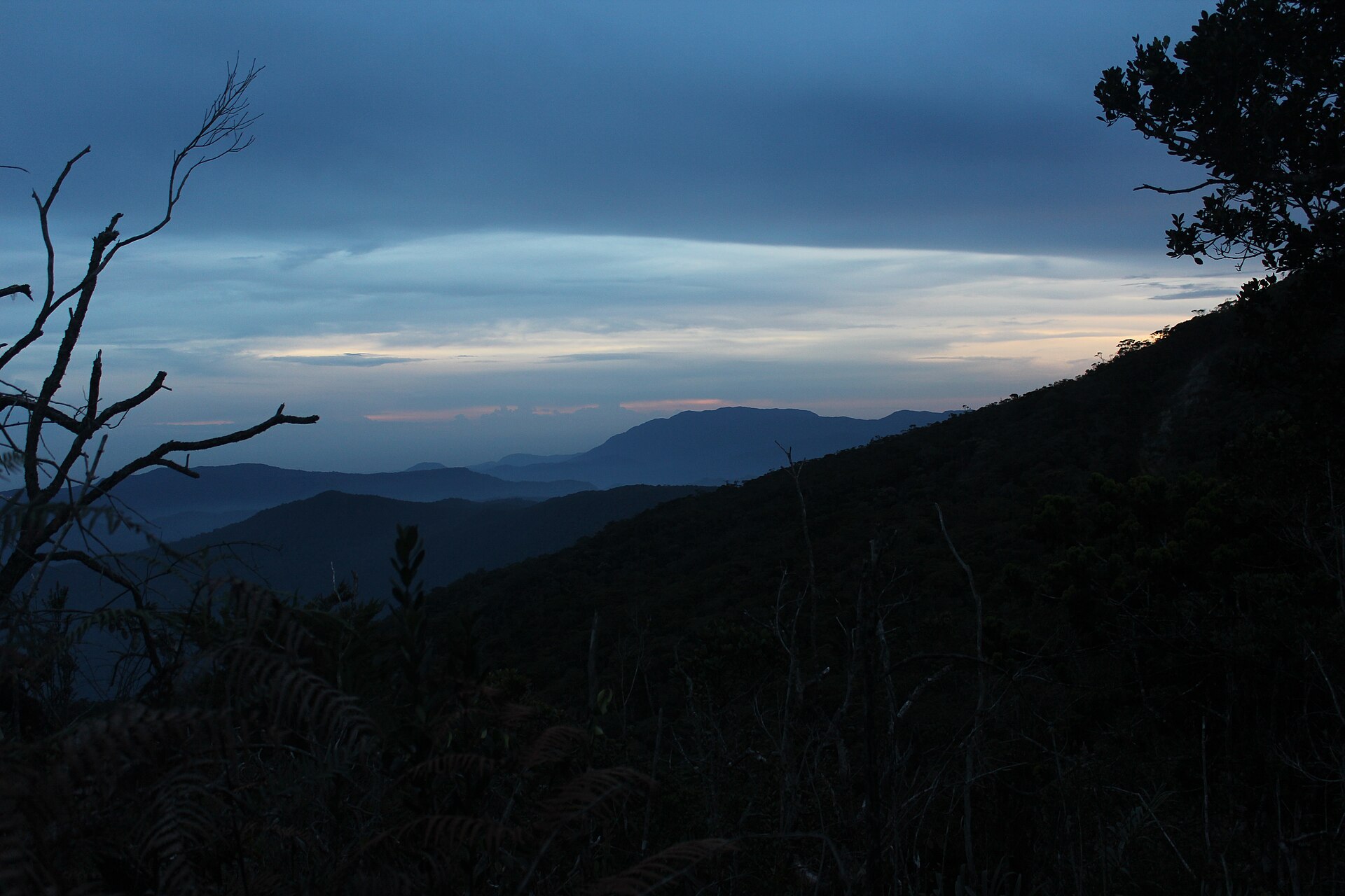 Tropical rainforest landscape in Sumatra