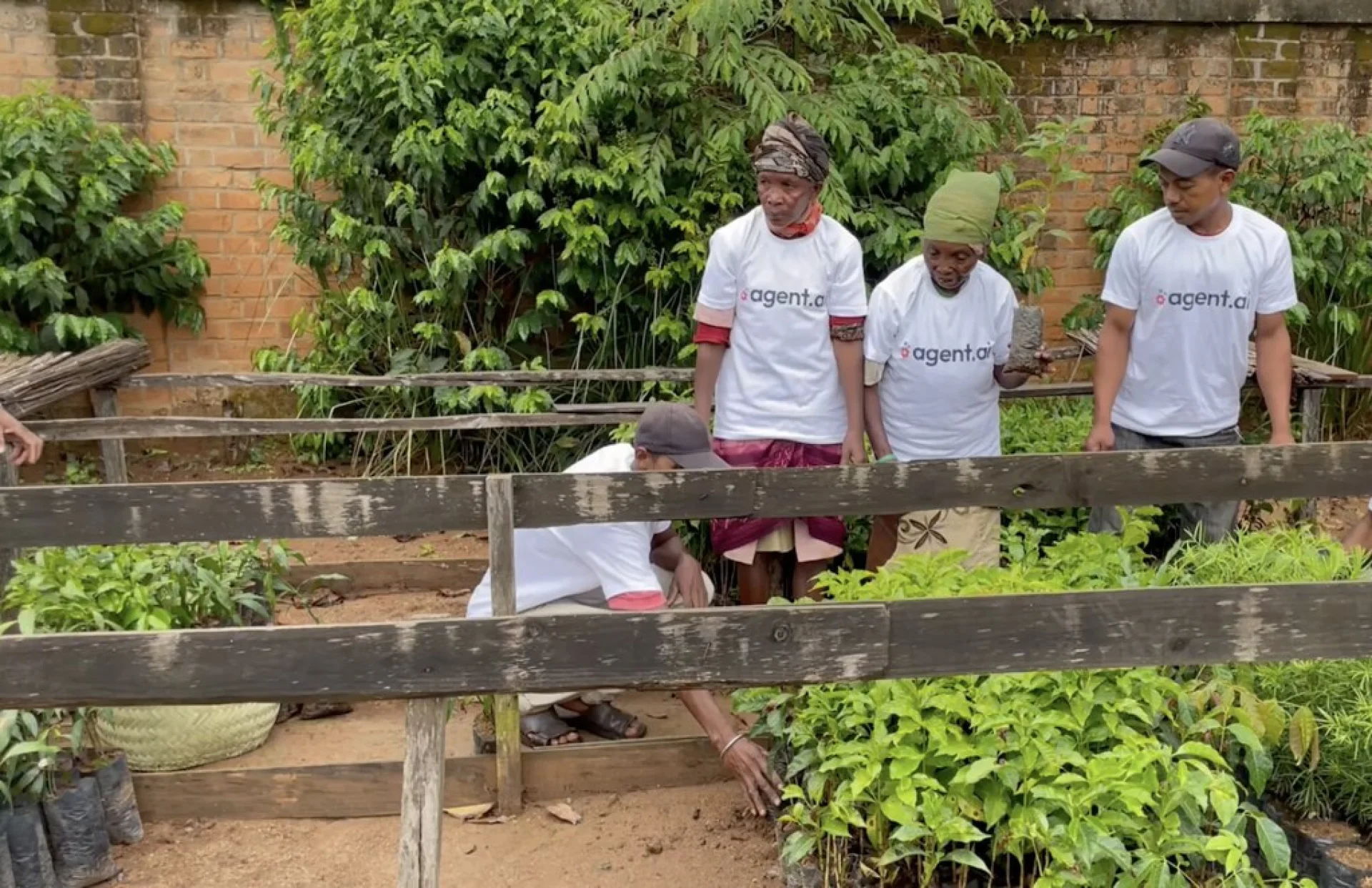 A tree sponsored by Agent AI, growing on an Evertreen Madagascar reforestation parcel, photographed by the local partner