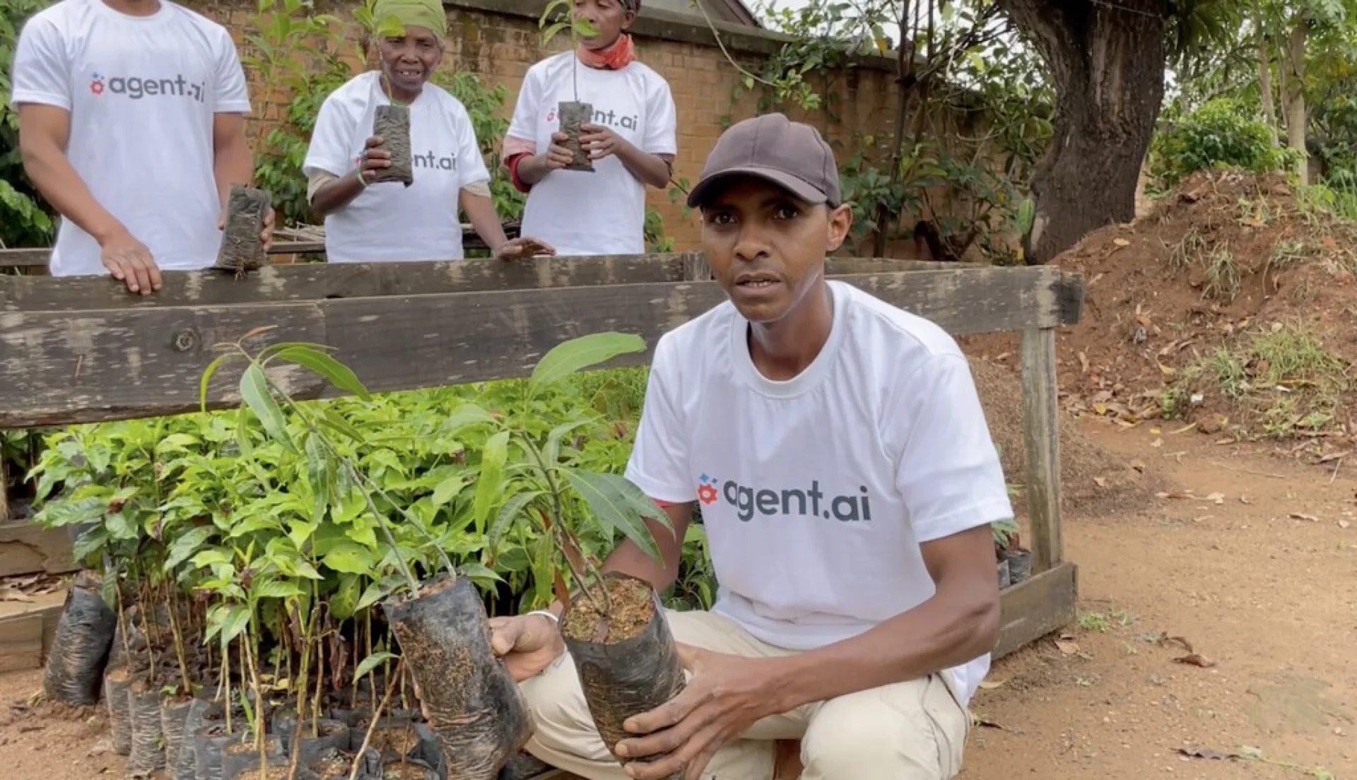 A tree sponsored by Agent AI, growing on an Evertreen Madagascar reforestation parcel, photographed by the local partner