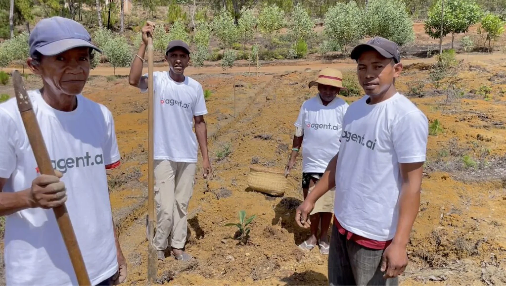 A tree sponsored by Agent AI, growing on an Evertreen Madagascar reforestation parcel, photographed by the local partner