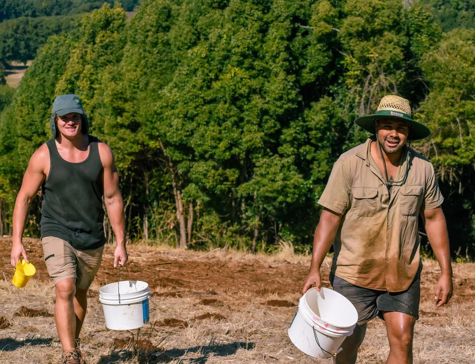 A volunteer planting a native tree on a Queensland restoration parcel