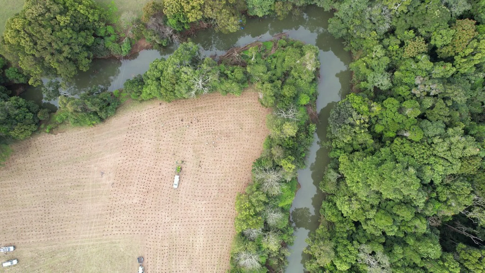 A bushfire-recovery planting site in the Australian outback, showing new saplings
