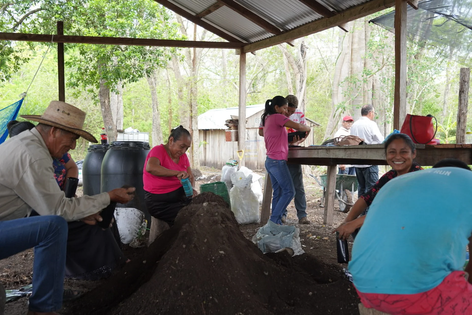 A Chiapas smallholder pruning shade crops in the Scolel'te community agroforestry programme