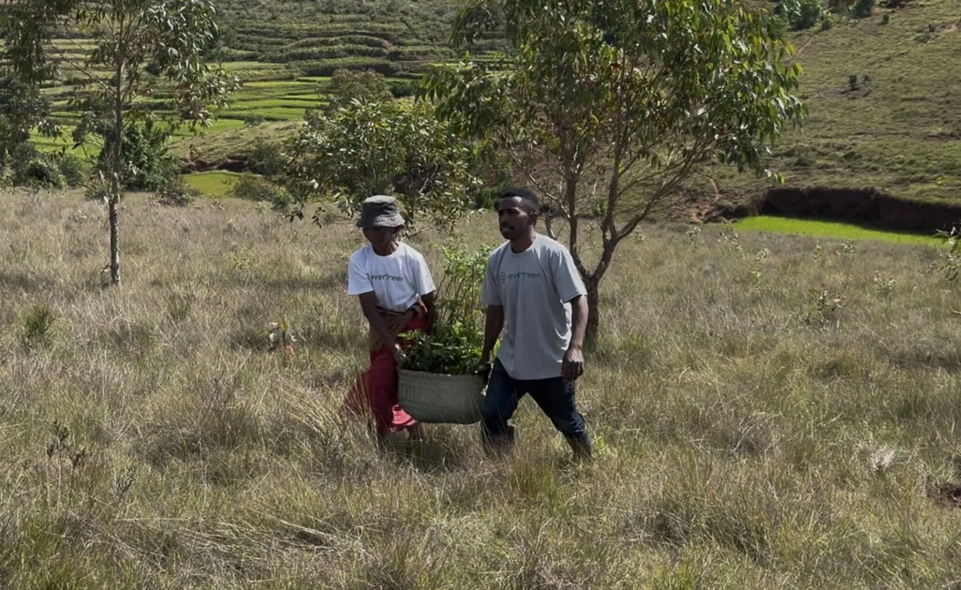 Boundary between the community-managed forest and neighbouring smallholder land, Madagascar