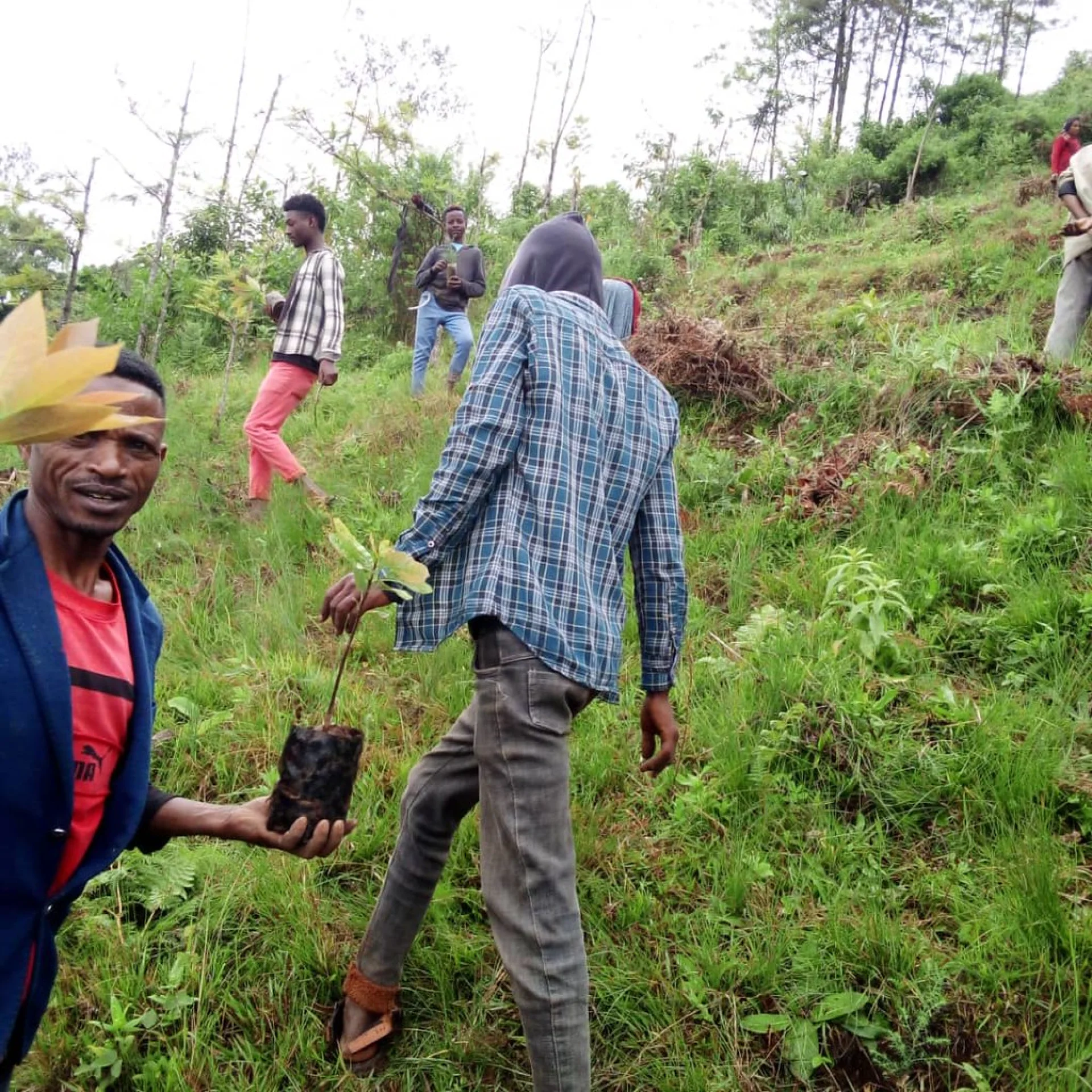 Boundary between the community-managed forest and neighbouring smallholder land, Madagascar