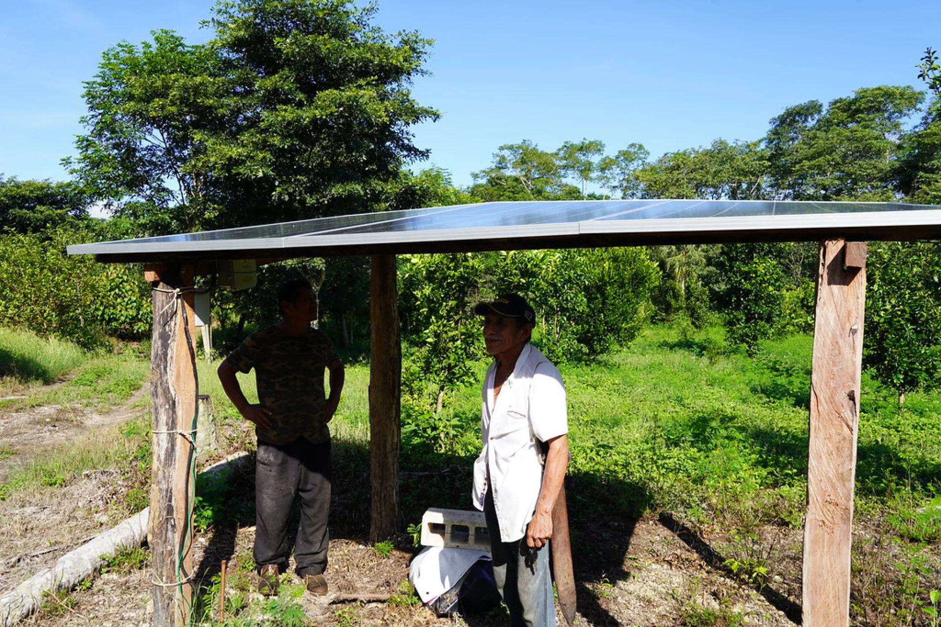 Community members planting native saplings during a reforestation day in the Yucatán rainforest