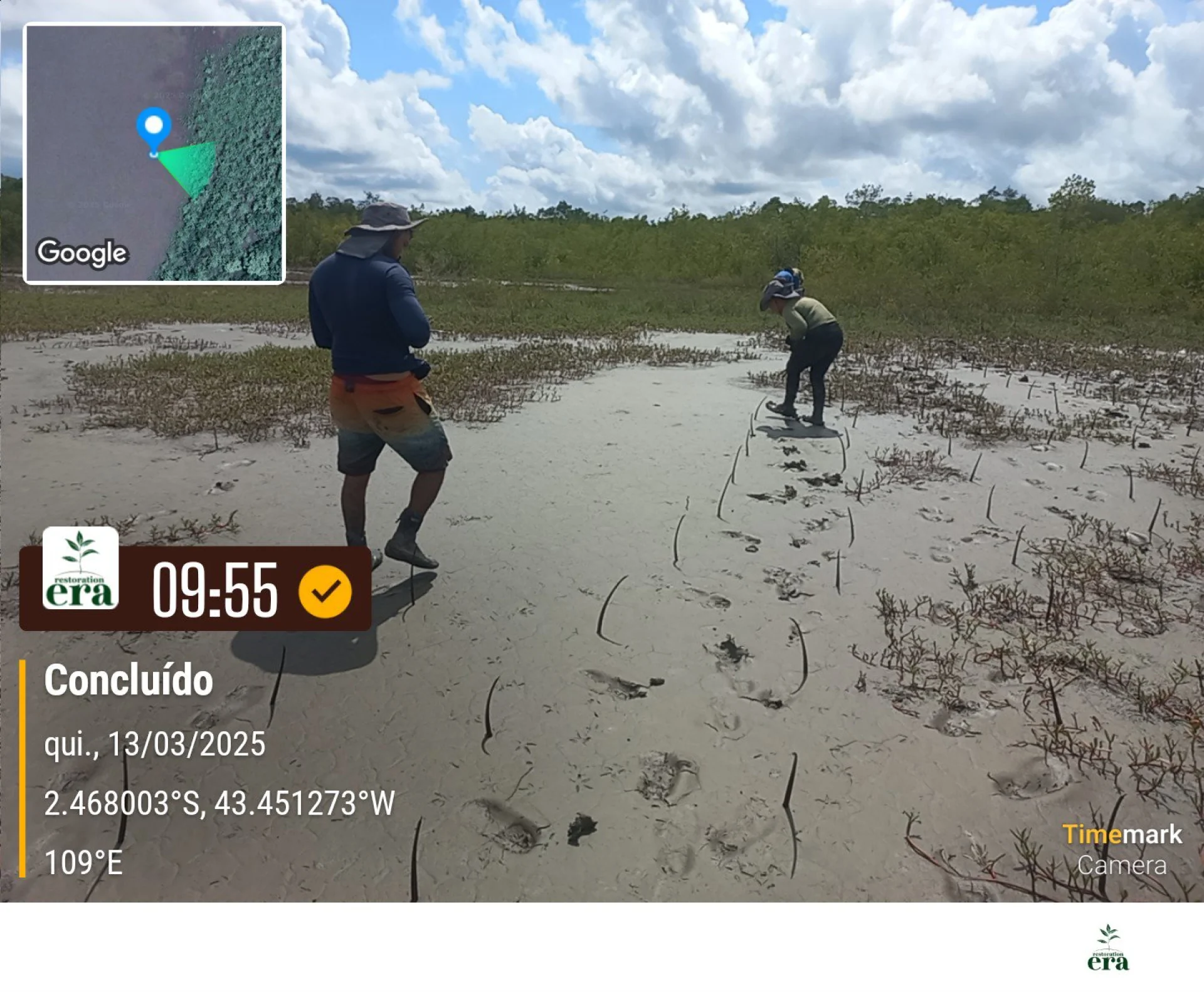 A field verification photo of a completed native-tree planting plot in Brazil