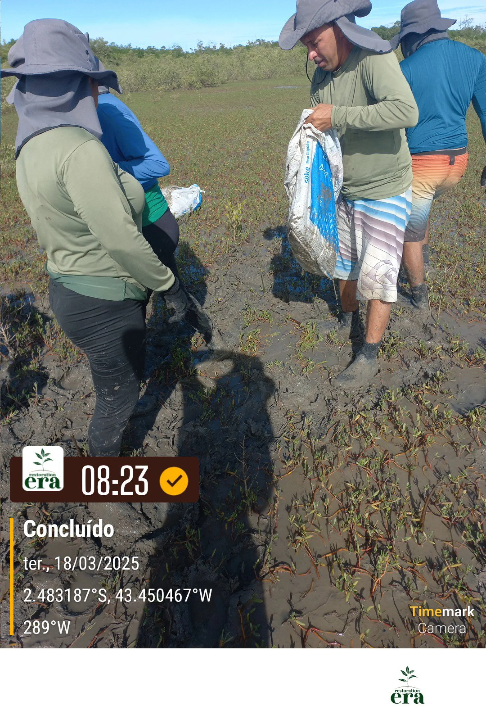 A field verification photo of a completed native-tree planting plot in Brazil