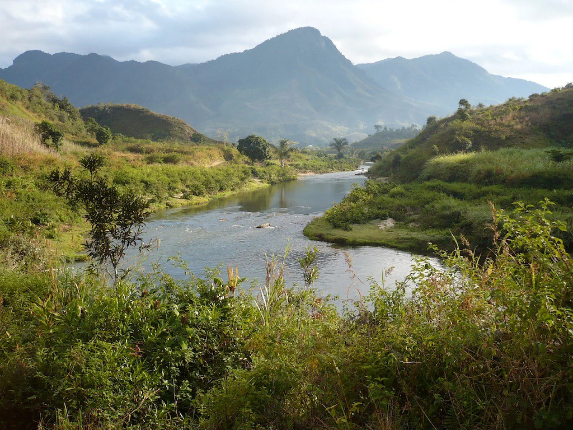 Continuous natural highland forest at roughly 1,000 metres altitude in Amoron’i Mania region