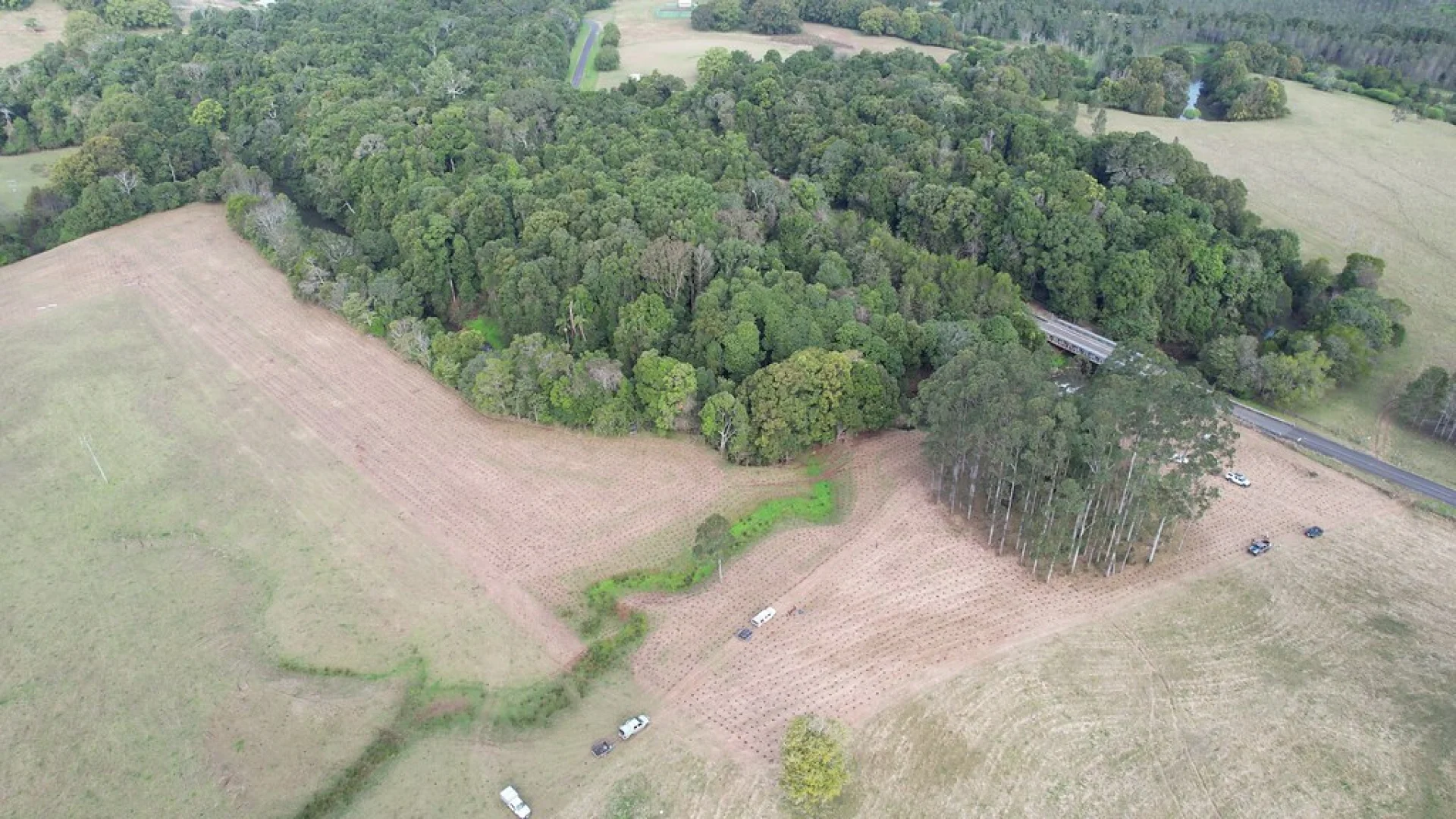 The local partner walking a fenced Queensland reforestation site among young trees