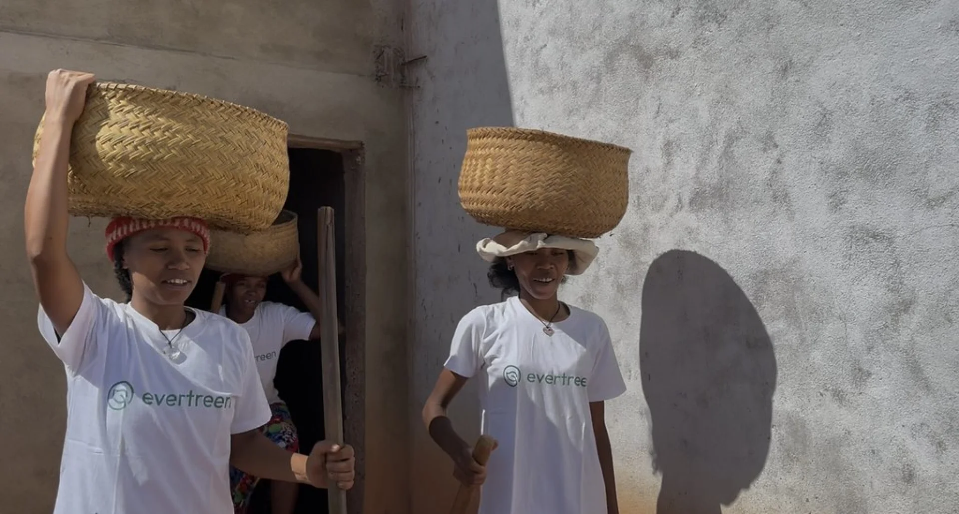 Malagasy farmers stacking mangrove propagules under a shaded work area