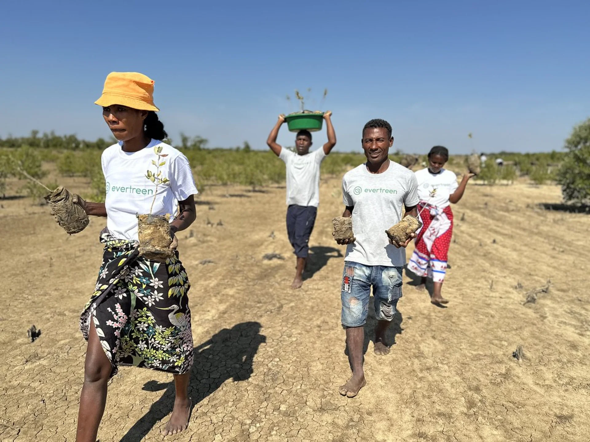 Malagasy farmers stacking mangrove propagules under a shaded work area