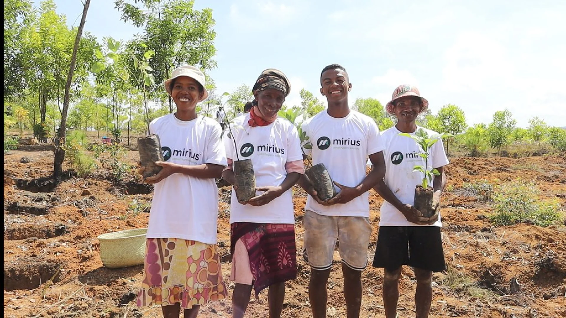 A tree sponsored by Mirius, growing on an Evertreen Madagascar reforestation parcel, photographed by the local partner