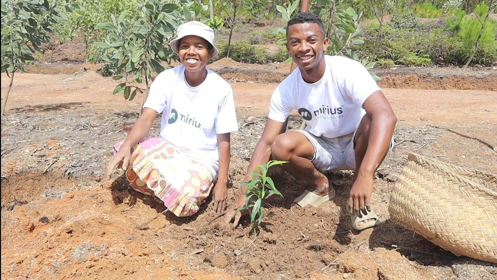 A tree sponsored by Mirius, growing on an Evertreen Madagascar reforestation parcel, photographed by the local partner