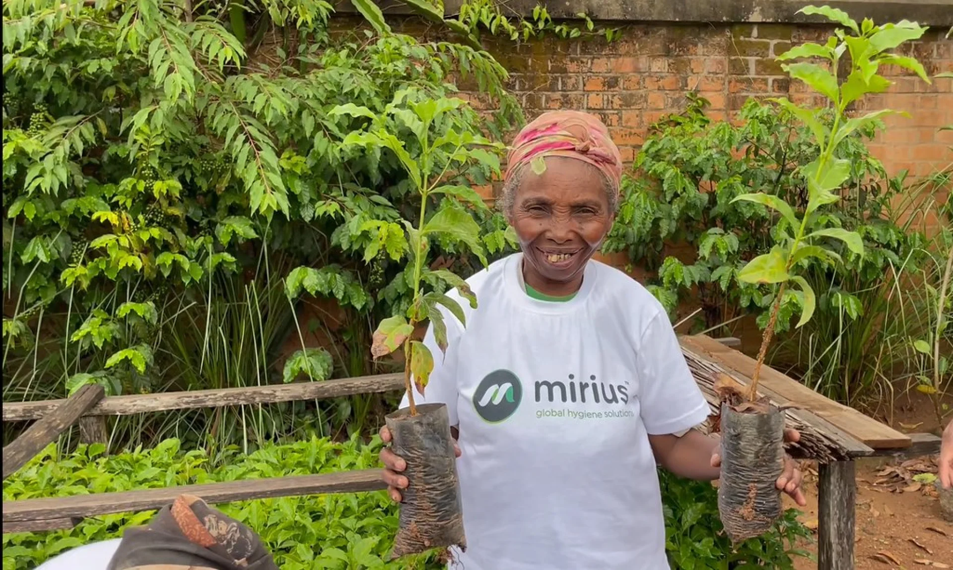 A tree sponsored by Mirius, growing on an Evertreen Madagascar reforestation parcel, photographed by the local partner