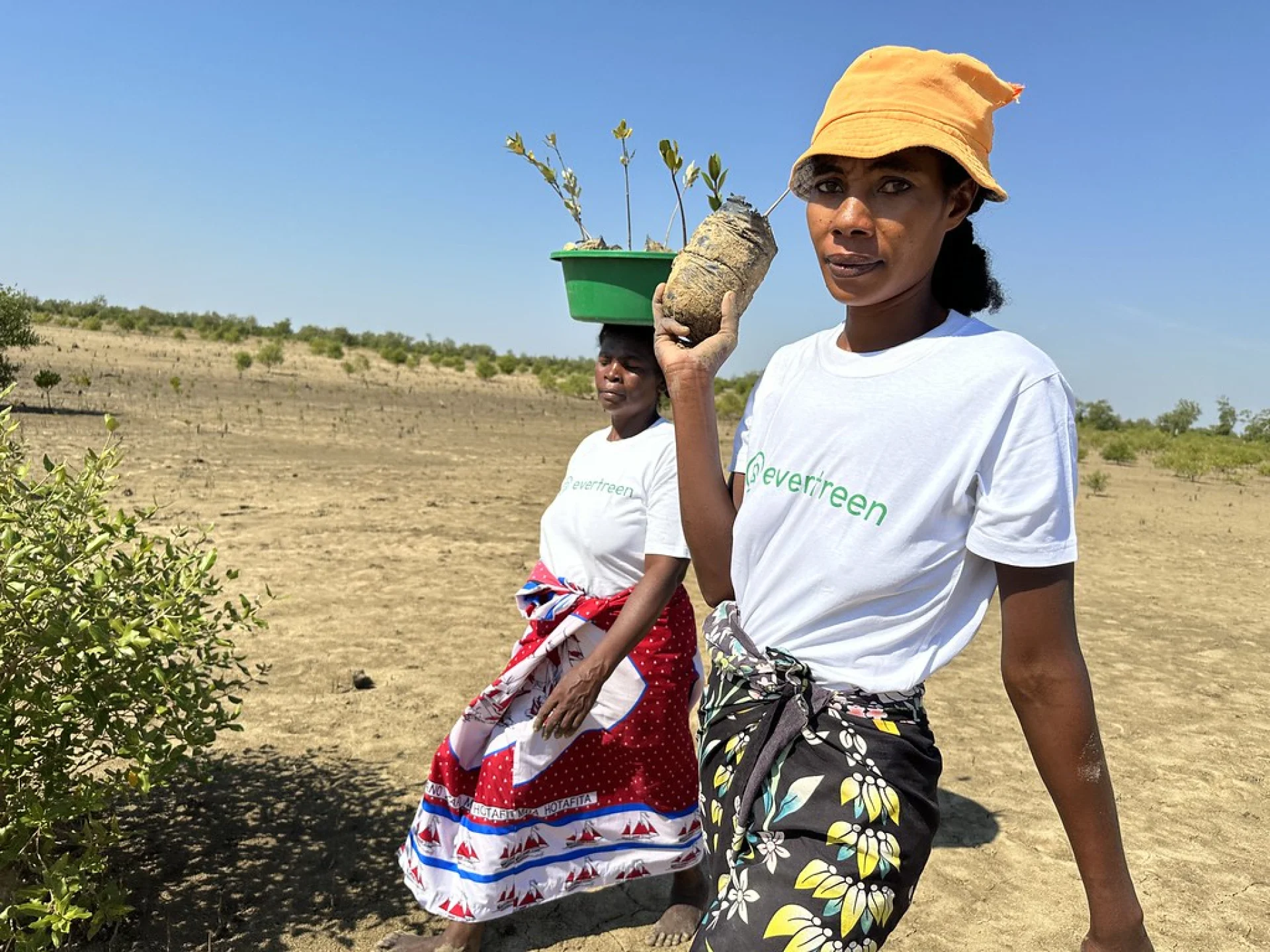 A Tsiryparma nursery worker watering young hardwood saplings