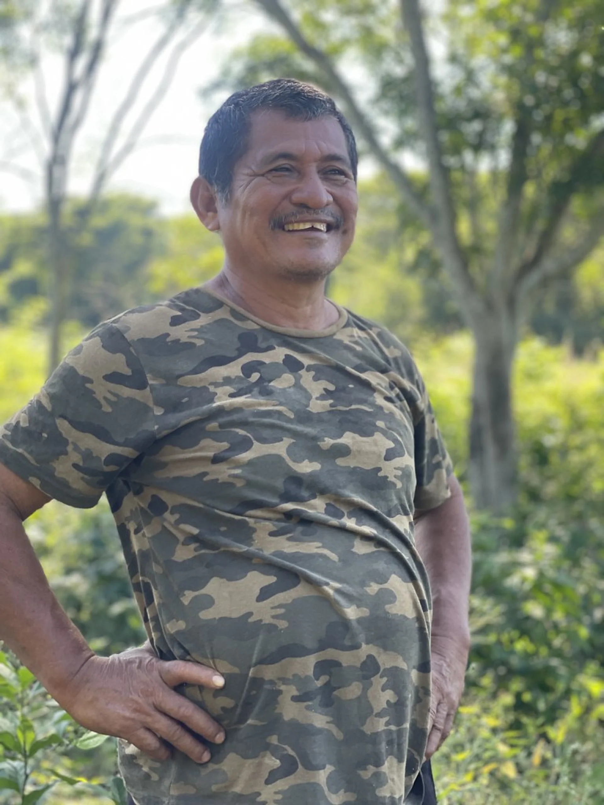 A Plan Vivo certified agroforestry parcel in southern Mexico, native trees mixed with crops