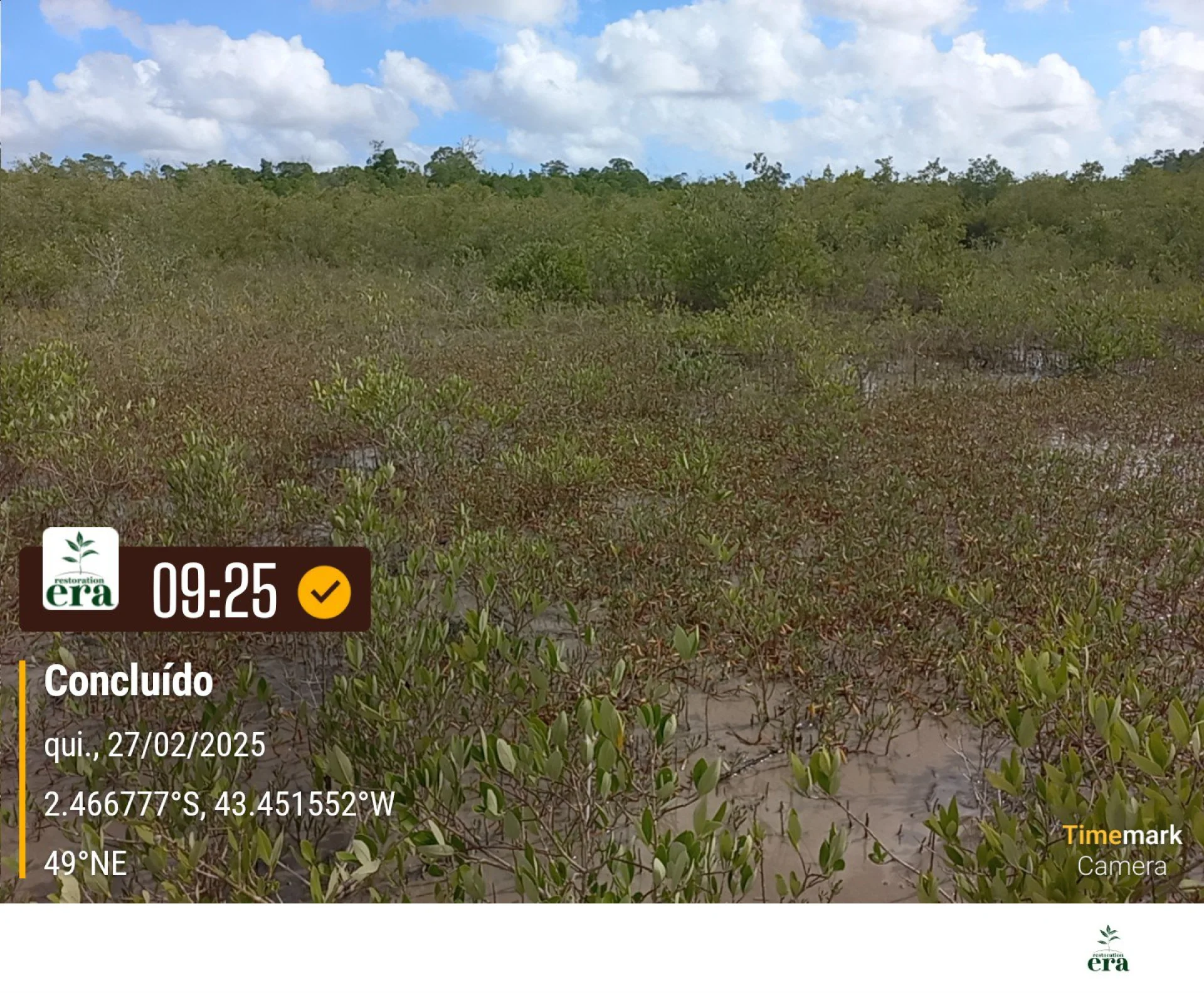A field verification photo of a completed native-tree planting plot in Brazil