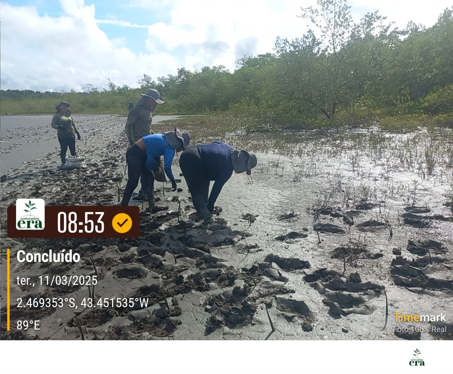 A field verification photo of a completed native-tree planting plot in Brazil