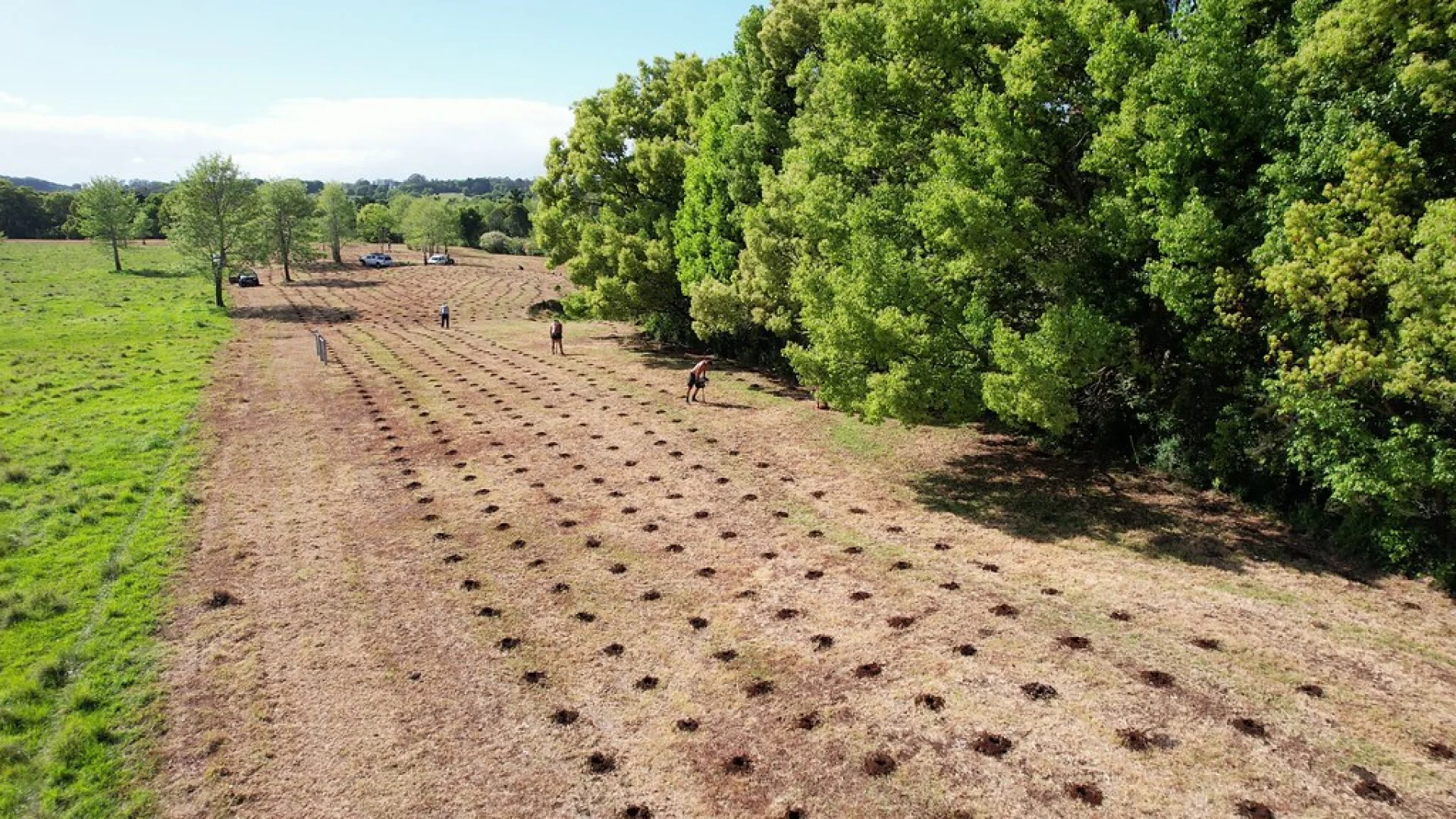 A former pasture parcel being converted back to native Australian forest