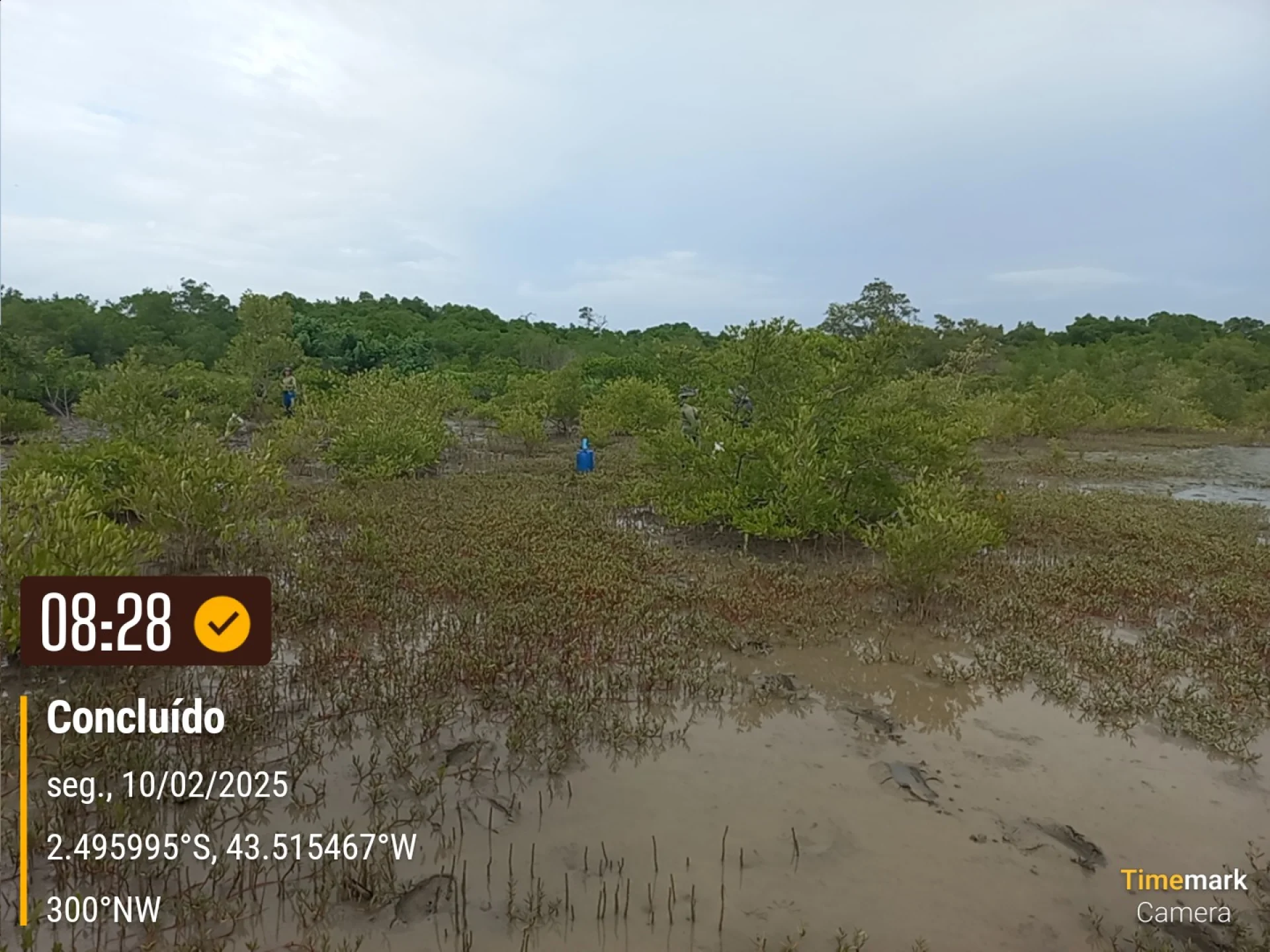 A field verification photo of a completed native-tree planting plot in Brazil