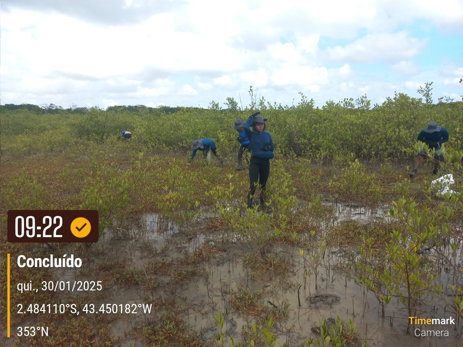 A monitored reforestation plot of young native tree seedlings at a Restoration Era planting site in Brazil, photographed during field verification