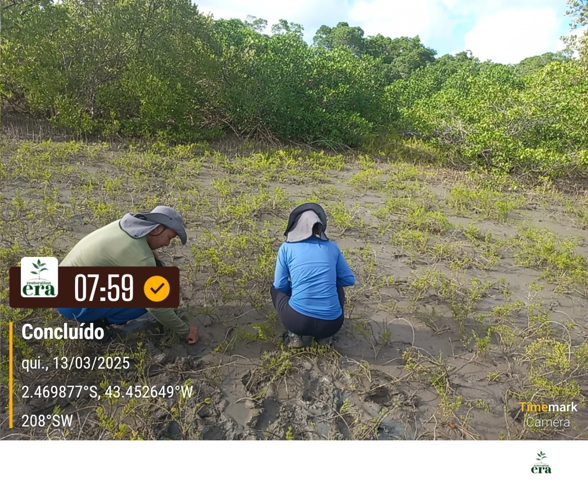 A field verification photo of a completed native-tree planting plot in Brazil
