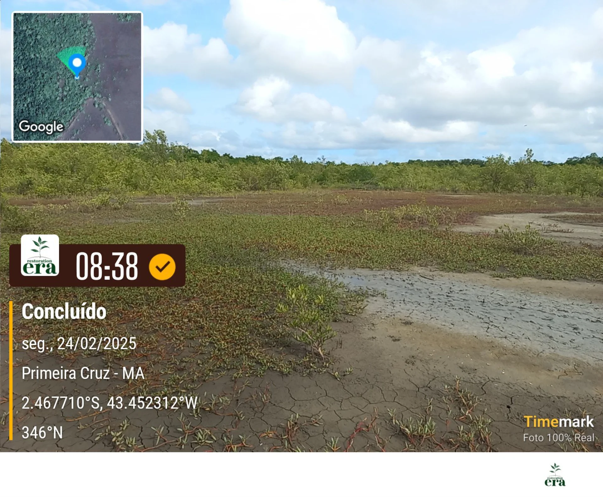 A field verification photo of a completed native-tree planting plot at Primeira Cruz, Maranhão, Brazil