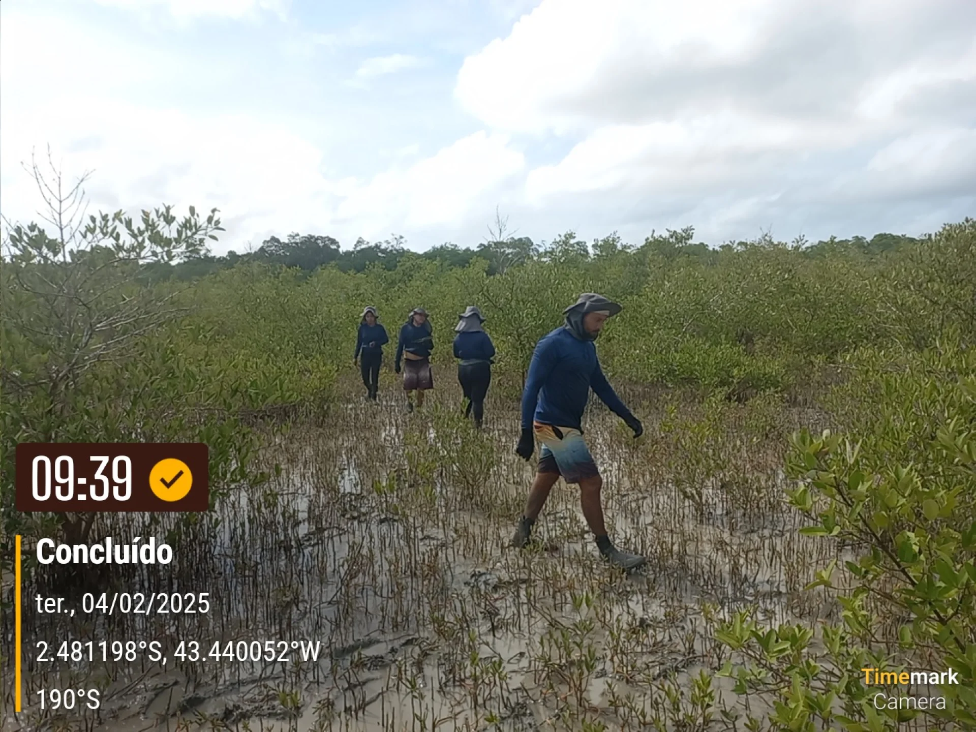 Newly planted native saplings on a restoration plot in Brazil, recorded on site as the planting is completed