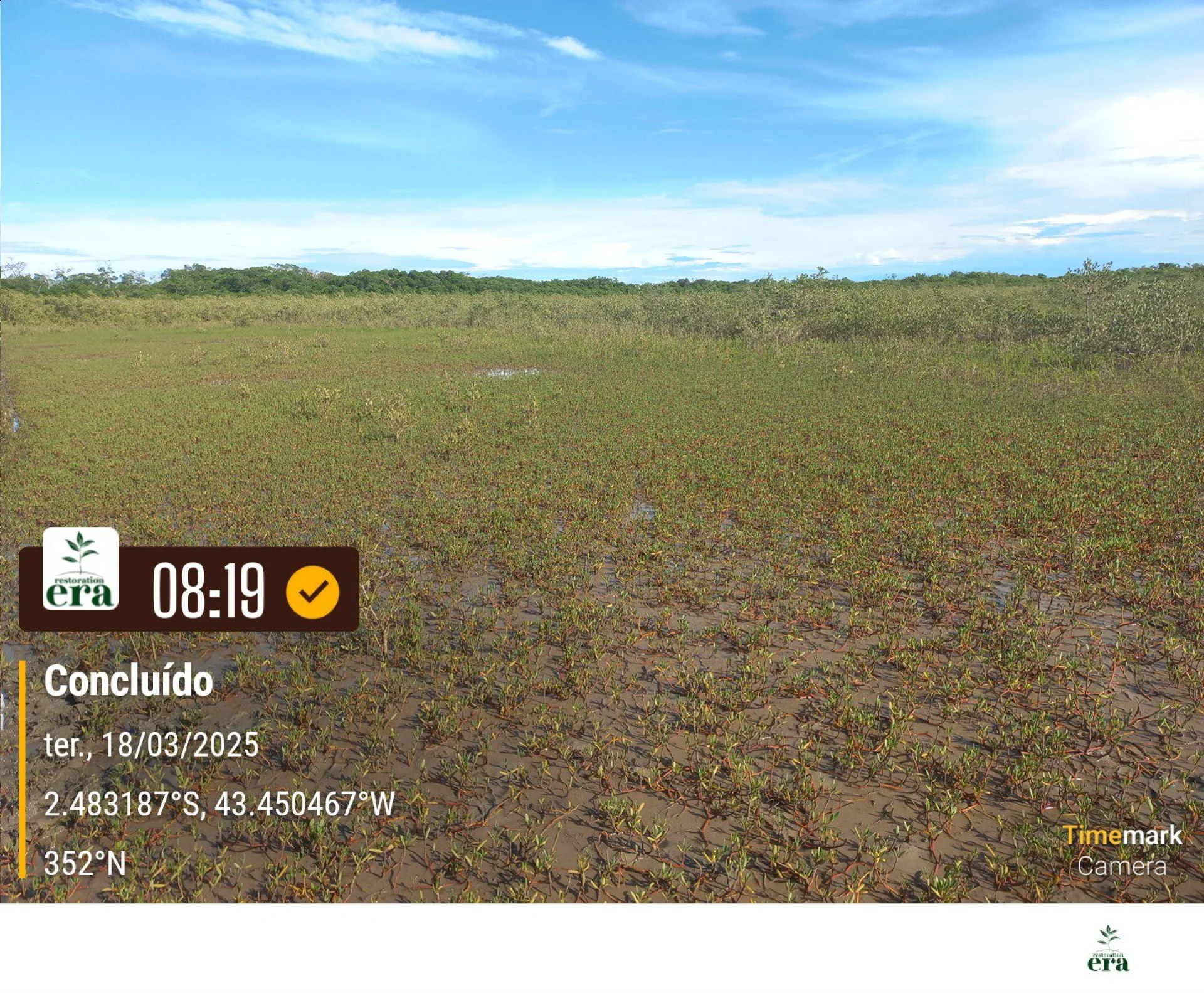 A field verification photo of a completed native-tree planting plot in Brazil