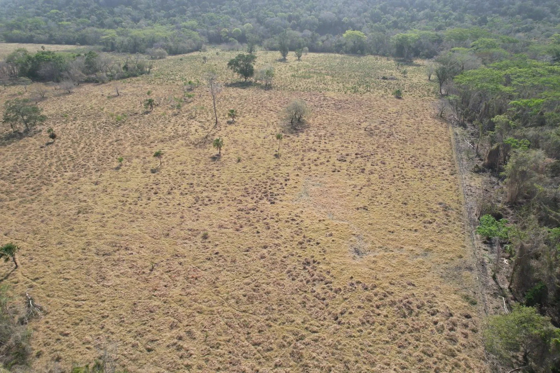 A smallholder farmer working on a Plan Vivo agroforestry parcel in the Chiapas highlands