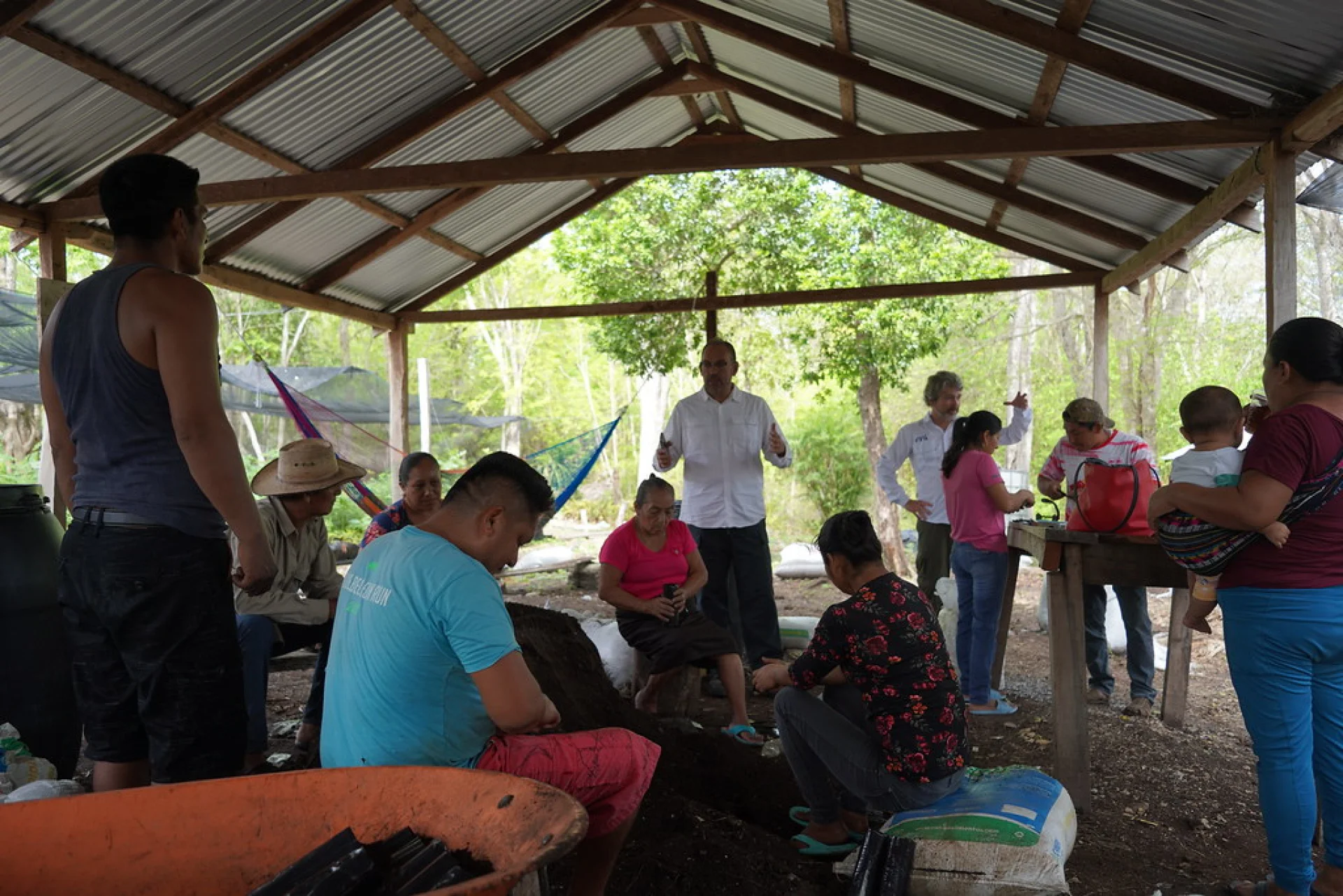 A smallholder farmer working on a Plan Vivo agroforestry parcel in the Chiapas highlands