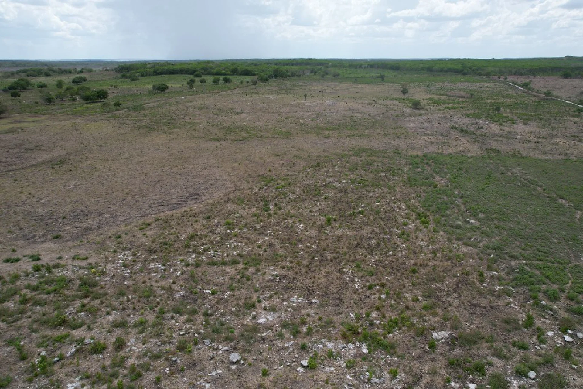 A Mayan smallholder farmer tending an agroforestry parcel in southern Mexico