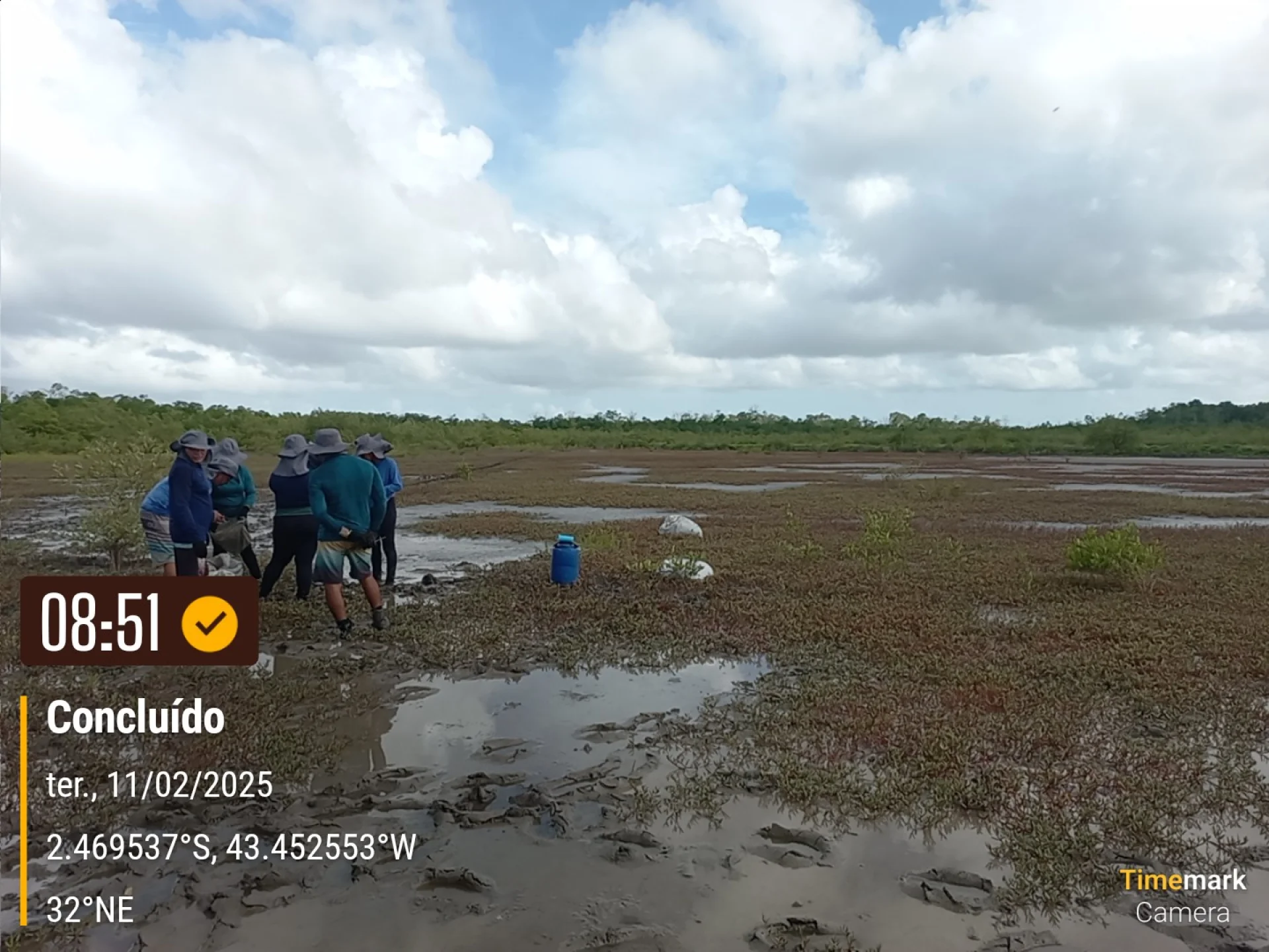 A field verification photo of a completed native-tree planting plot in Brazil