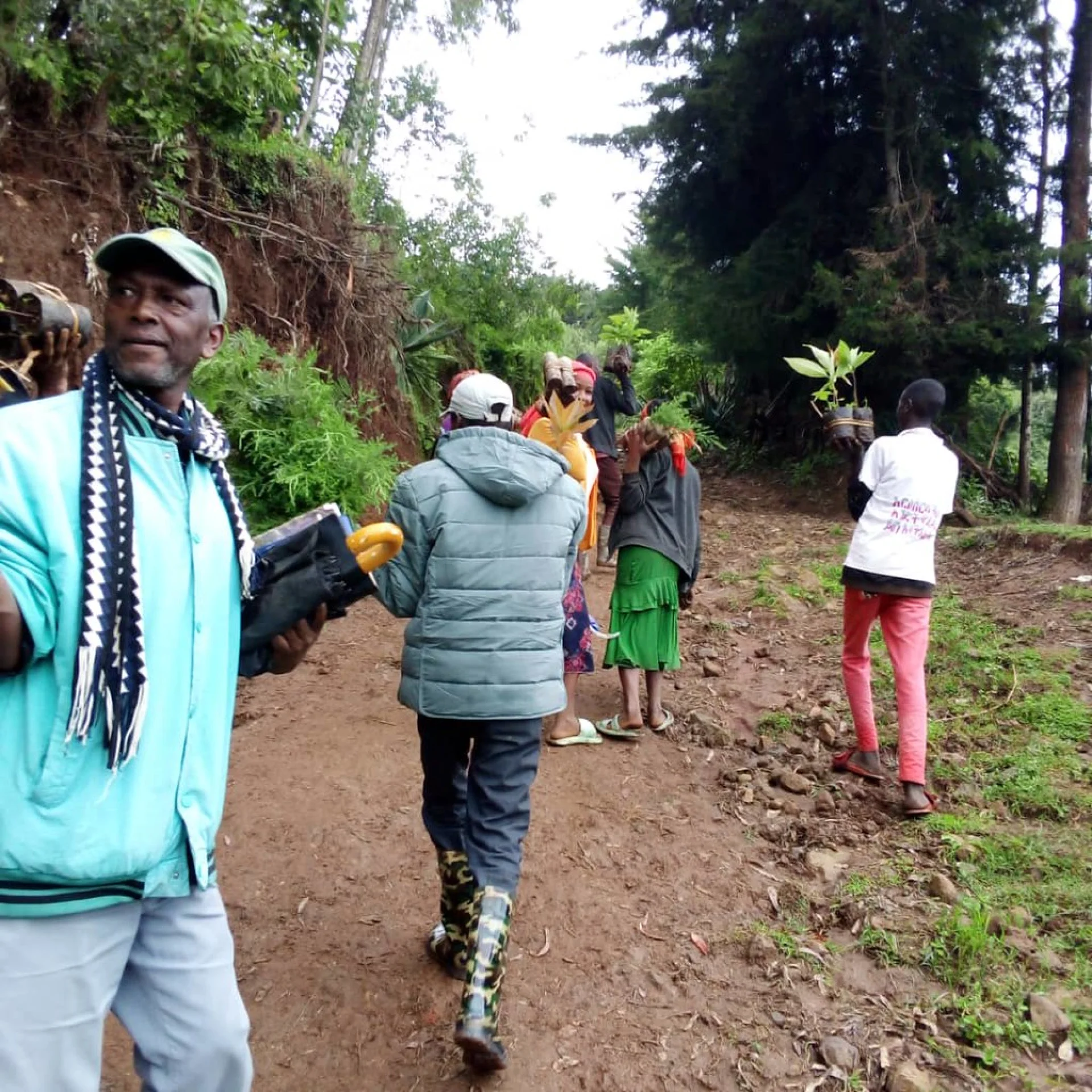 Vohidahy villagers on a forest trail carrying tools and seedling trays