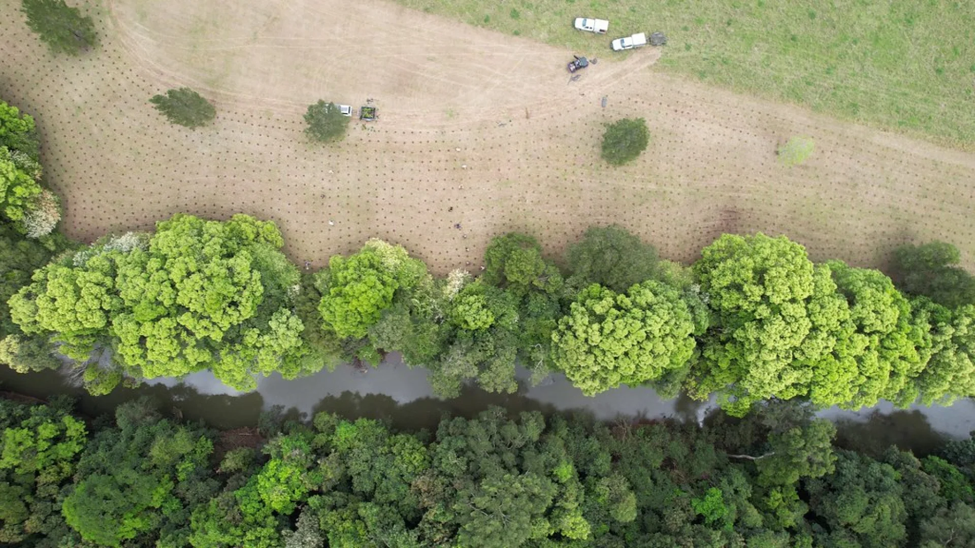 Volunteer James planting a native tree seedling at the Queensland restoration site