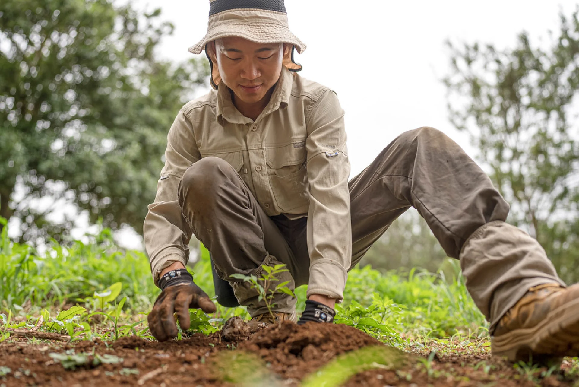 A volunteer planting a native tree on a Queensland restoration parcel
