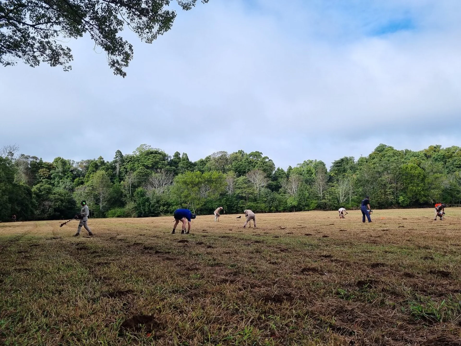 A volunteer planting a native tree on a Queensland restoration parcel