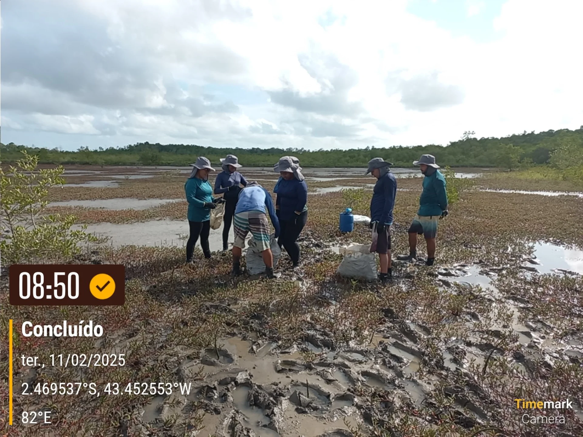 Newly planted native saplings on a restoration plot in Brazil, recorded on site as the planting is completed