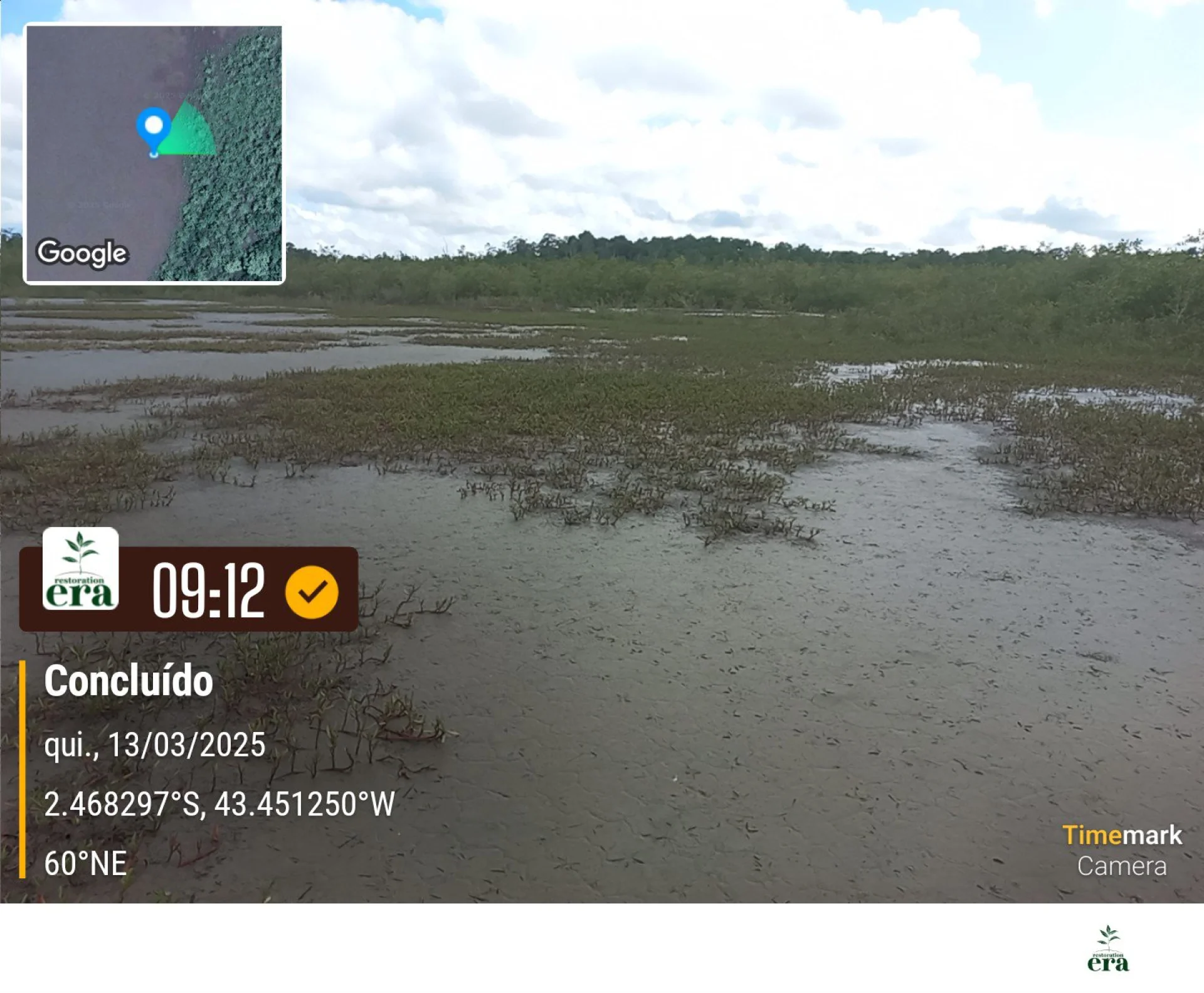 A monitored reforestation plot of young native tree seedlings at a Restoration Era planting site in Brazil, photographed during field verification