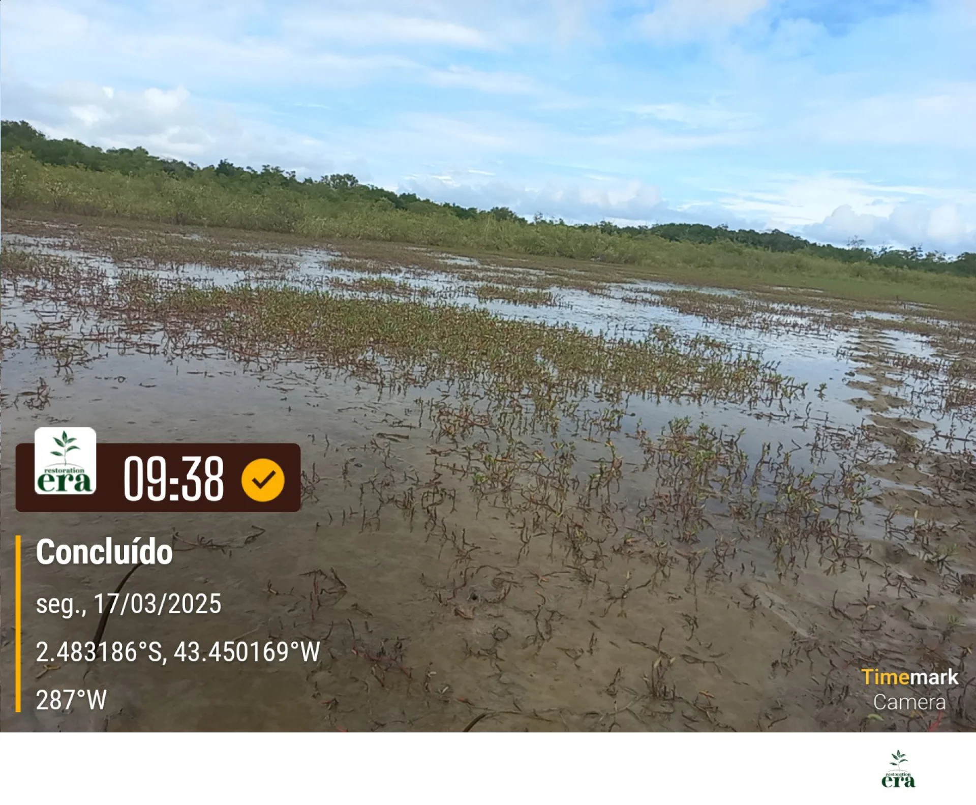 A field verification photo of a completed native-tree planting plot in Brazil