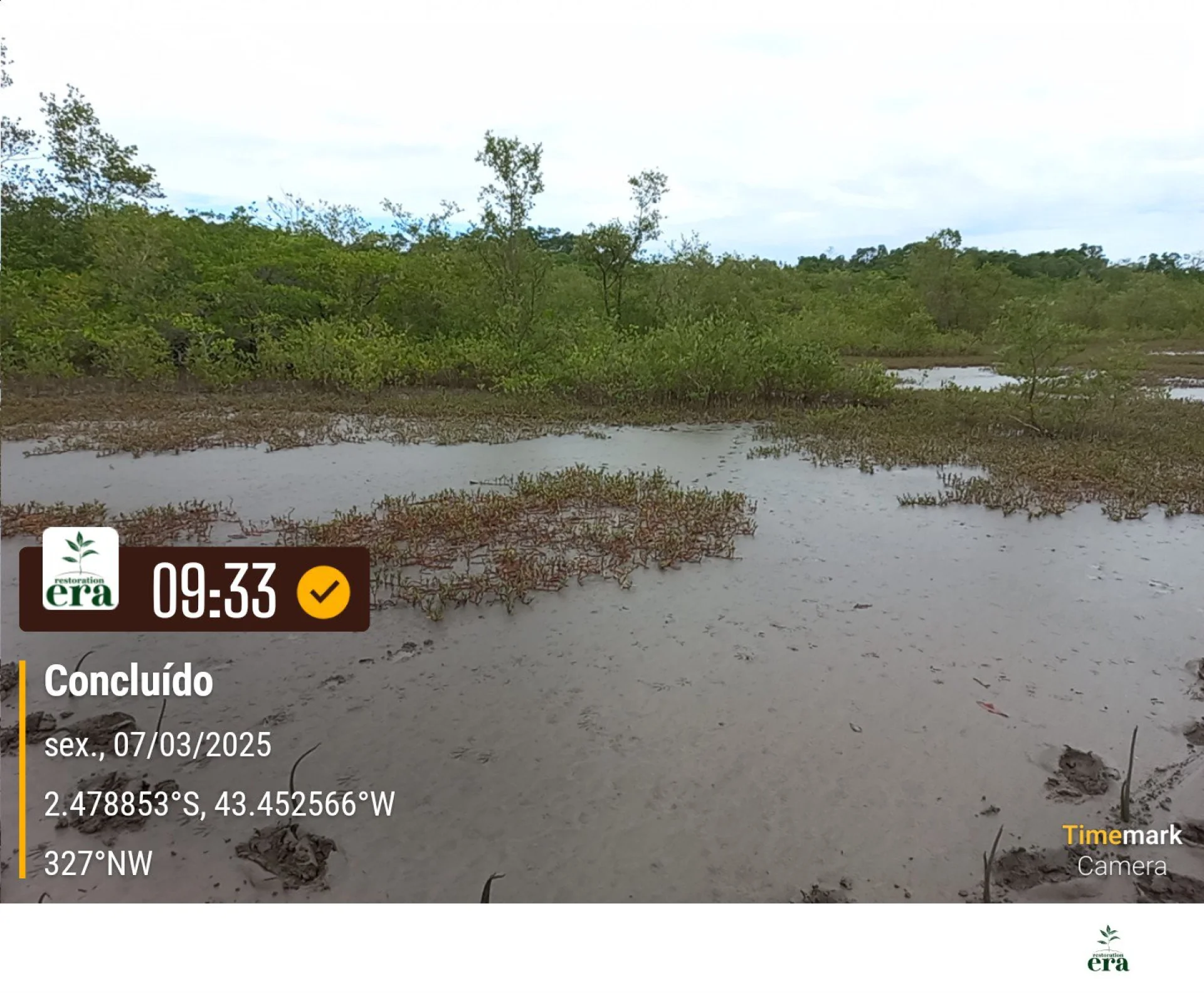 A field verification photo of a completed native-tree planting plot in Brazil