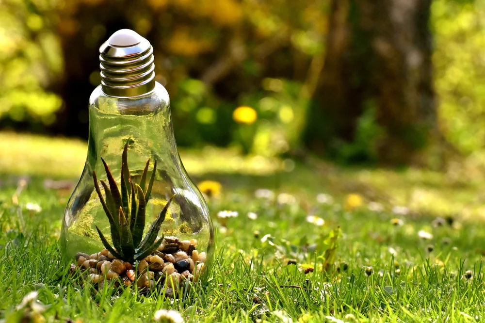 Sustainable Living for Environmental Protection