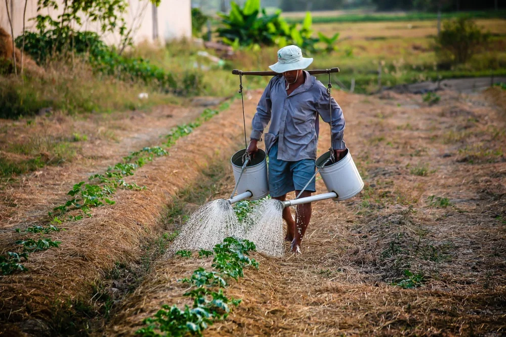 Farmers Revitalizing Our Planet’s Life and Trees