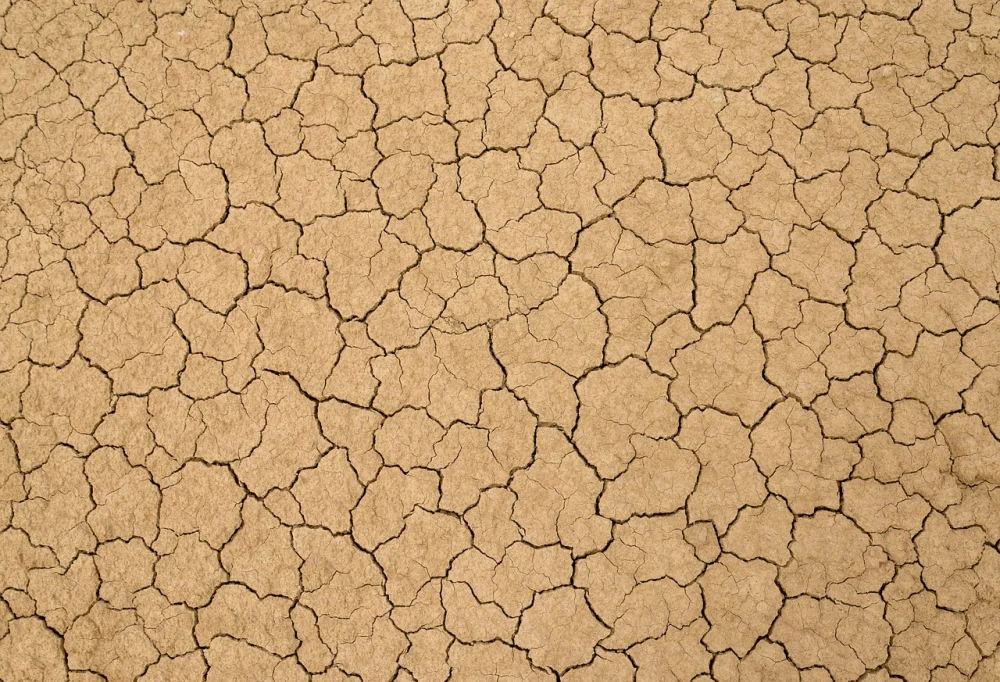 Climate Change, Desertification and Water Scarcity