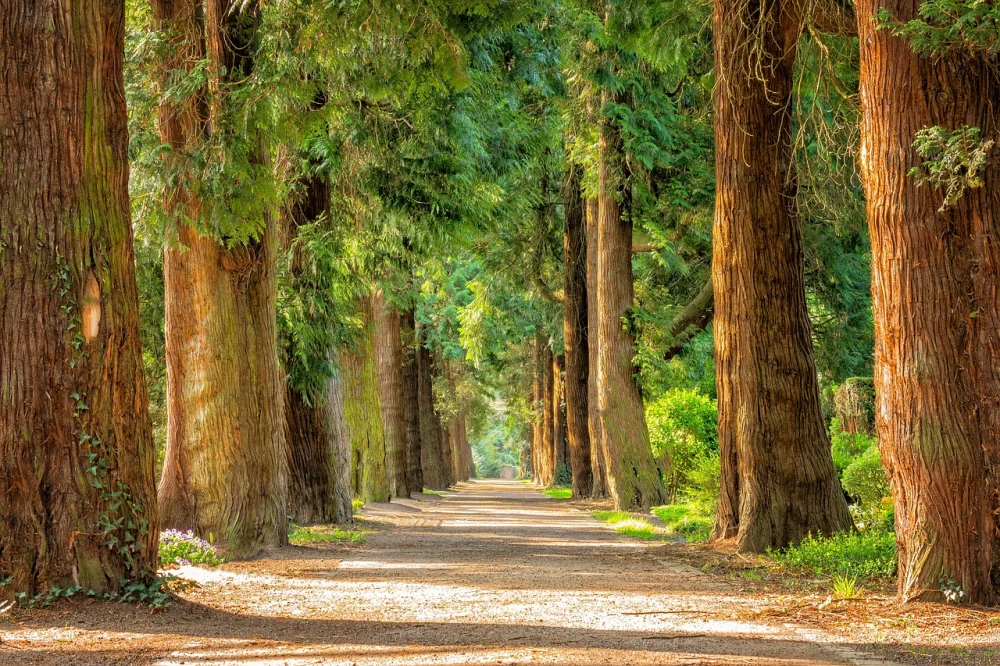 The Power of ESG Programs for Companies