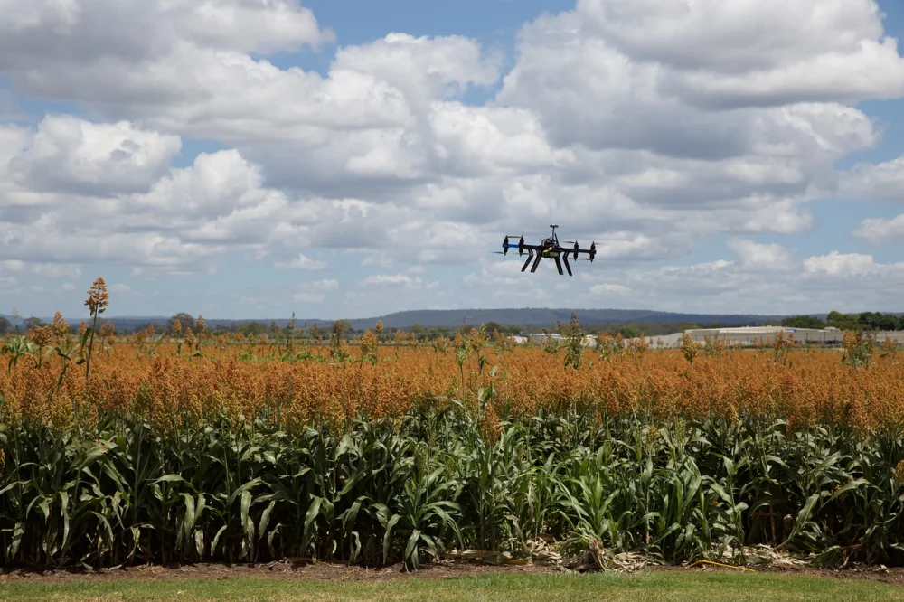 How Planted Trees Are Verified: Satellite, GPS, Drones and Field Data
