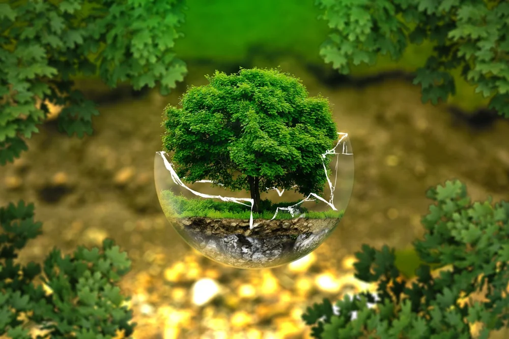 How Many Trees Are Planted Globally: A Comprehensive Overview