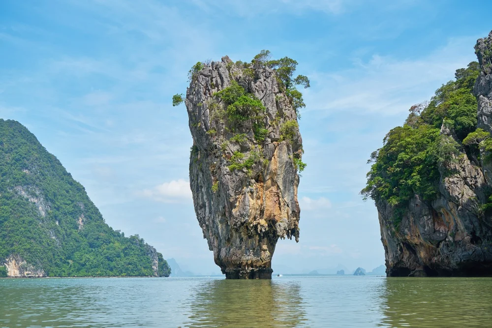 Restoring Thailand’s Green: A Native Tree Reforestation Project